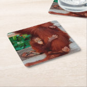 Borneo orangutan kartonnen onderzetters (Schuin)