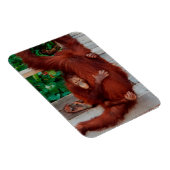 Borneo orangutan magneet (Rechterzijde)