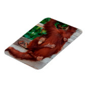 Borneo orangutan magneet (Linkerzijde)