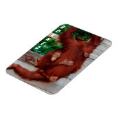 Borneo orangutan magneet (Linkerzijde)