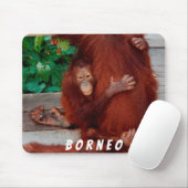 Borneo orangutan muismat (Met muis)