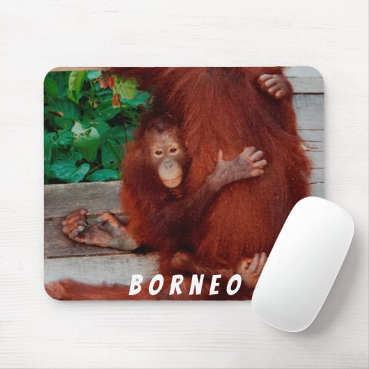 Borneo orangutan muismat (Met muis)