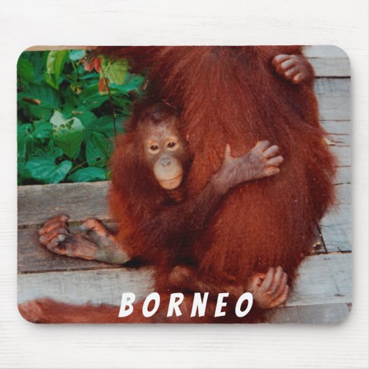 Borneo orangutan muismat (Voorkant)