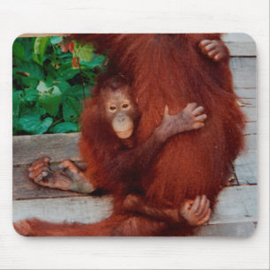 Borneo orangutan muismat