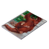 Borneo orangutan notitieboek (Linkerzijde)