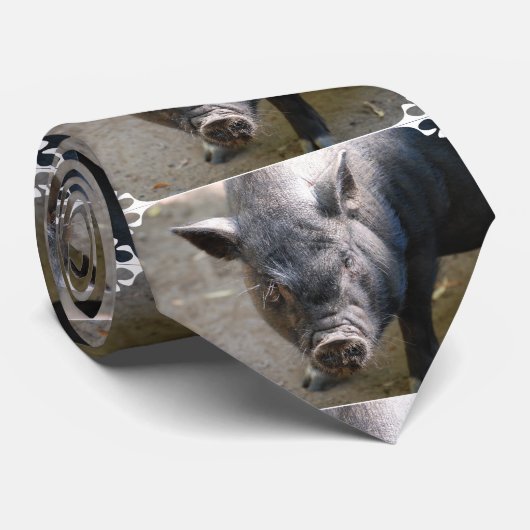 Borneo Pig Stropdas (Opgerold)