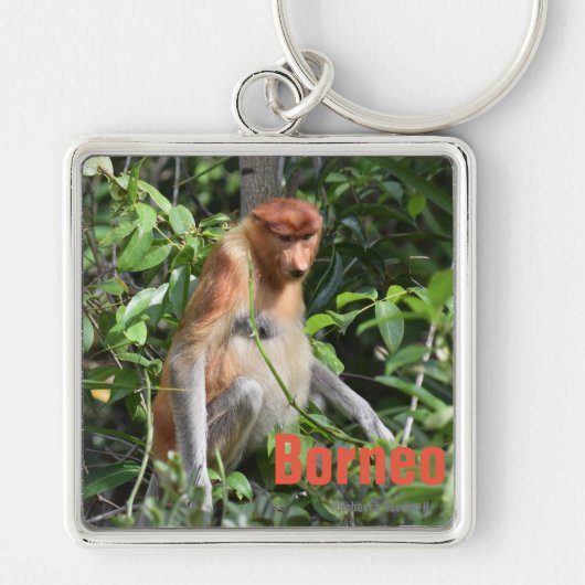 Borneo Proboscis Monkey Keychain (Voorkant)