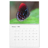 Borneo Rainforest Calendar Kalender (Feb 2026)