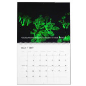 Borneo Rainforest Calendar Kalender (Mar 2027)