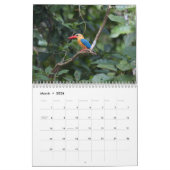 Borneo Rainforest Calendar Kalender (Mar 2026)