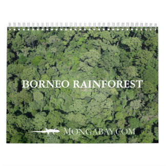 Borneo Rainforest Calendar Kalender
