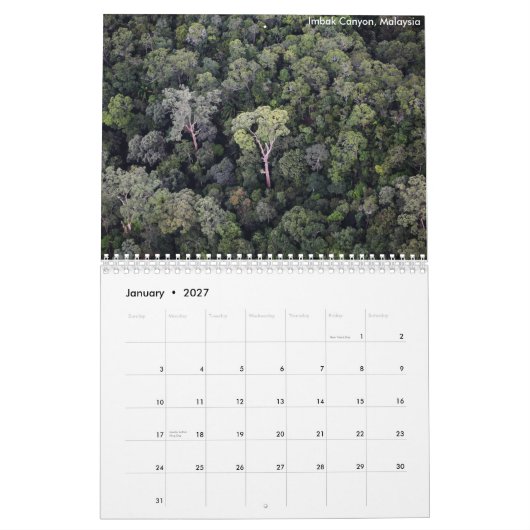 Borneo Rainforest Calendar Kalender (Jan 2027)