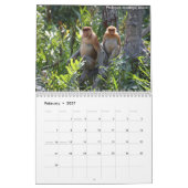 Borneo Rainforest Calendar Kalender (Feb 2027)