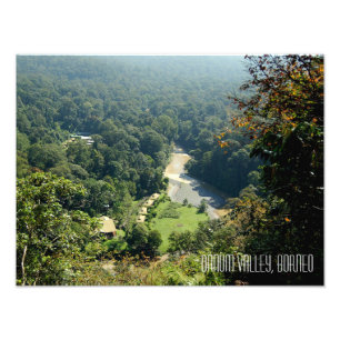 Borneo Rainforest Oerwoud Danum Valley Photography Foto Afdruk