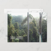Borneo Rainforest Oerwoud Treetops Landschap Foto Briefkaart (Voorkant / Achterkant)