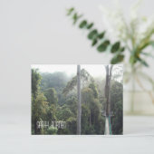 Borneo Rainforest Oerwoud Treetops Landschap Foto Briefkaart (Staand voorkant)