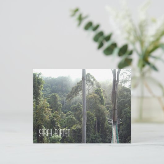 Borneo Rainforest Oerwoud Treetops Landschap Foto Briefkaart (Staand voorkant)
