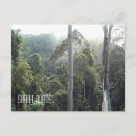 Borneo Rainforest Oerwoud Treetops Landschap Foto Briefkaart