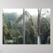 Borneo Rainforest Oerwoud Treetops Walkway Sabah Poster (Voorkant)