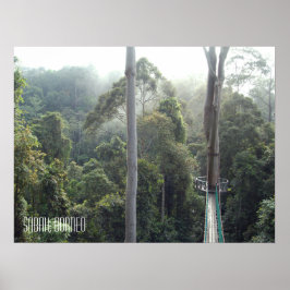 Borneo Rainforest Oerwoud Treetops Walkway Sabah Poster