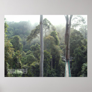 Borneo Rainforest Oerwoud Treetops Walkway Sabah Poster