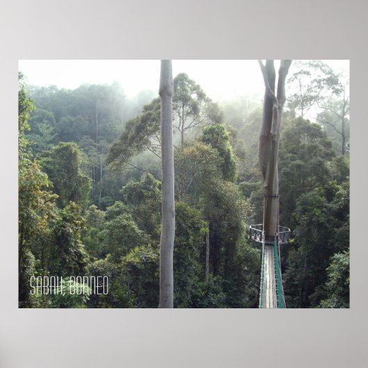 Borneo Rainforest Oerwoud Treetops Walkway Sabah Poster (Voorkant)