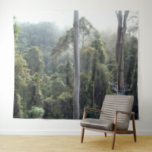 Borneo Regenwoud Jungle Bladerdak Landschap Achter