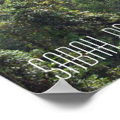 Borneo Regenwoud Jungle Boomtoppen Wandelpad Sabah Poster (Hoek)
