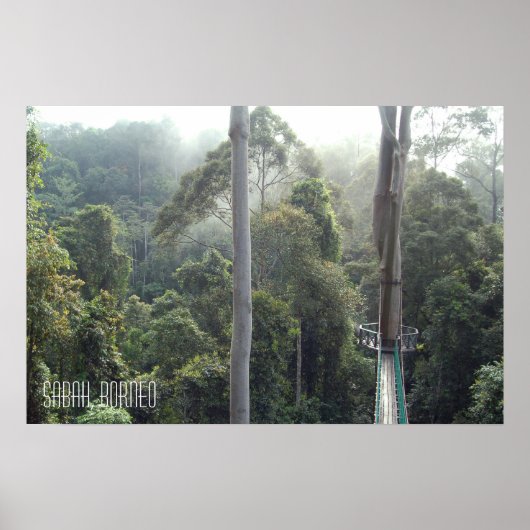 Borneo Regenwoud Jungle Boomtoppen Wandelpad Sabah Poster (Voorkant)