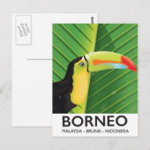 Borneo Toekan reisposter Briefkaart (Voorkant / Achterkant)
