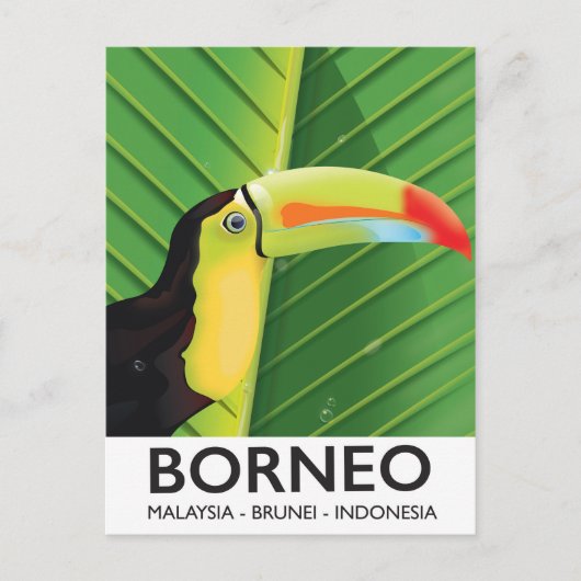 Borneo Toekan reisposter Briefkaart (Voorkant)