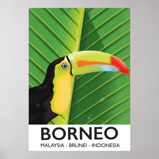 Borneo Toekan reisposter Poster (Voorkant)