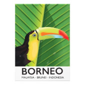 Borneo Toucan-reisposter Foto Afdruk (Voorkant)