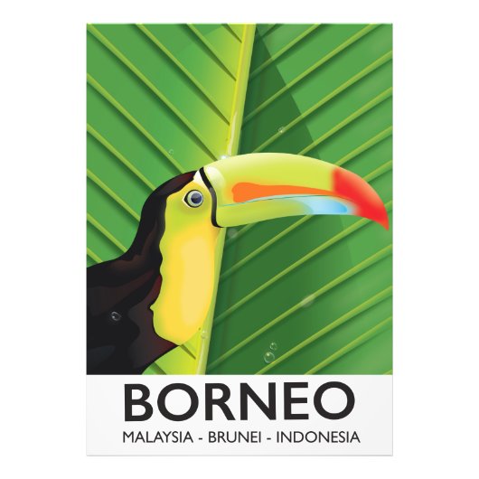 Borneo Toucan-reisposter Foto Afdruk (Voorkant)