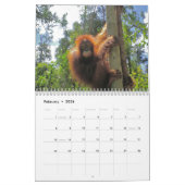 Borneo Travel en Orangutans Kalender (Feb 2026)