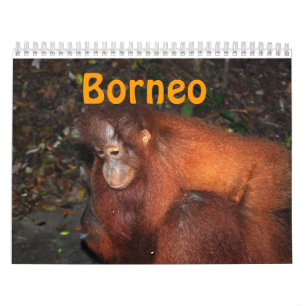 Borneo Travel en Orangutans Kalender