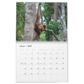 Borneo Travel en Orangutans Kalender (Mar 2027)