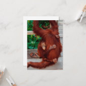Borneose orang-oetan kaart (Voorkant / Achterkant in situ)