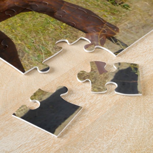 Borrego Springs California. Legpuzzel (Zijkant)