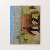 Borrego Springs California. Legpuzzel (Verticaal)