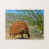 Borrego Springs California. Legpuzzel (Horizontaal)