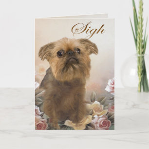 Borstel Griffon Vermist je kaarten