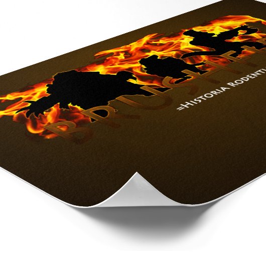 Borstel - Historia Rodentia Poster (Hoek)