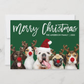 Borstel Script Star Merry Christmas Dogs Groen Feestdagenkaart (Voorkant)