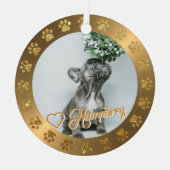 Borstelbrass Gold Glitter Paw Naam kerstmis Metalen Ornament (Voorkant)