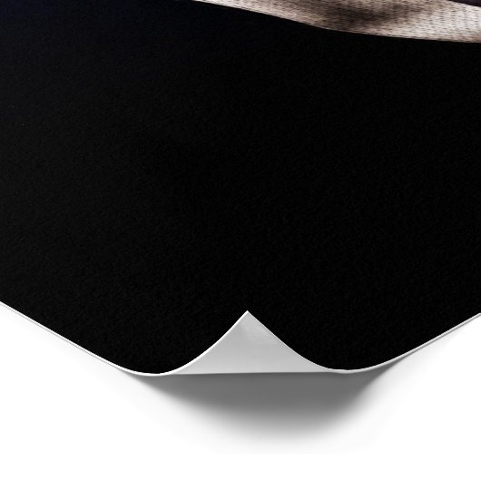 Borstkanker 2013 poster (Hoek)