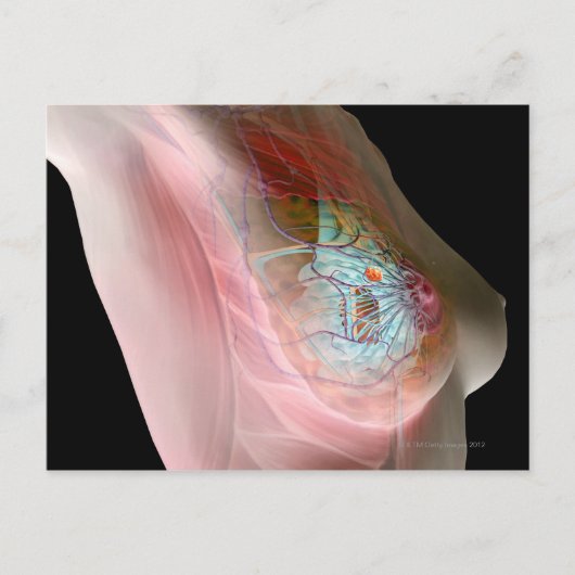 Borstkanker Briefkaart (Voorkant)