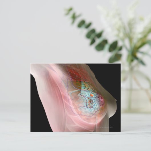 Borstkanker Briefkaart (Staand voorkant)