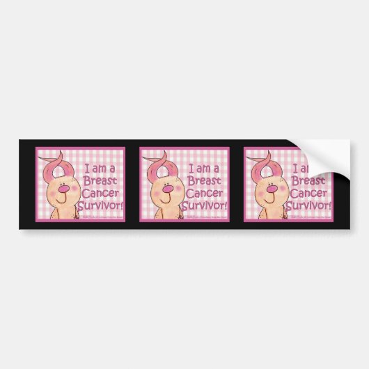 Borstkanker Overleving Bumpersticker (Voorkant)