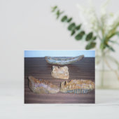 borsttanden slagpunt briefkaart (Staand voorkant)